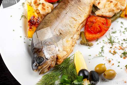 Image of trout fish