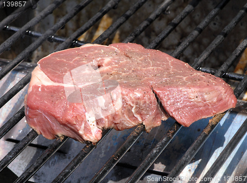 Image of Raw Meat