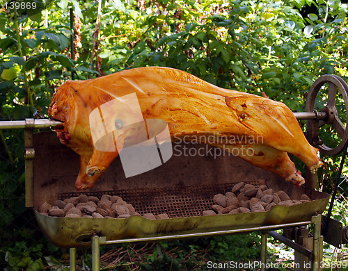 Image of Barbeque Pork