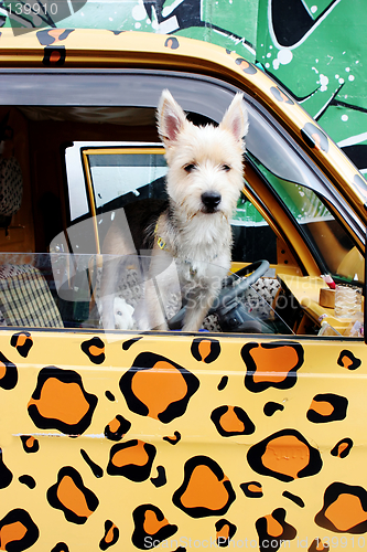 Image of Dog leaning out of a truck window