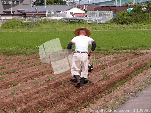 Image of Japanese farmer