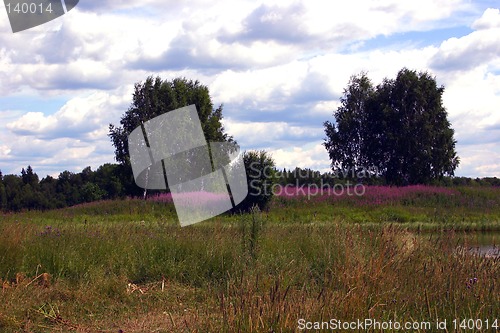 Image of landscape