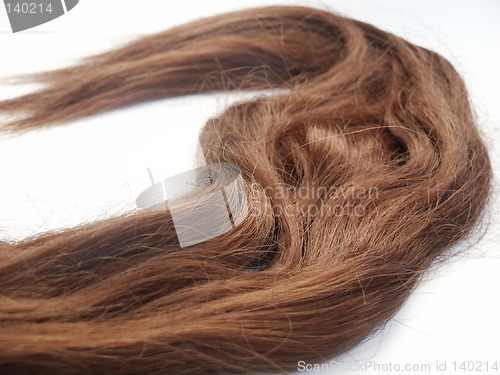 Image of Hair