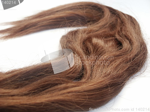 Image of Hair