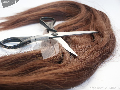 Image of Hair and scissors