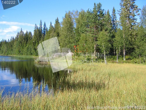 Image of Tarn in the forest