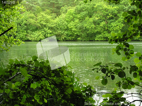 Image of Peaceful Lake