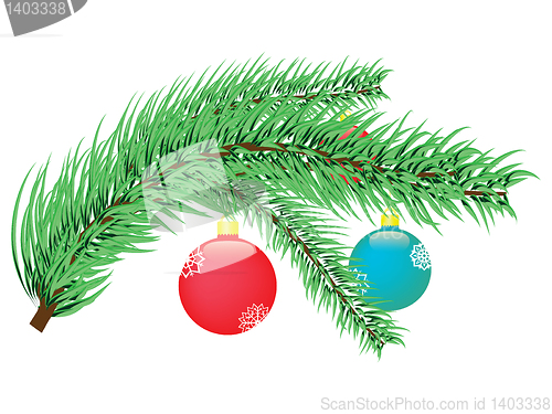 Image of christmas tree branch