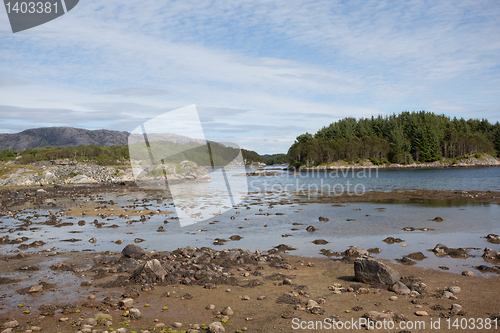 Image of Shoreline