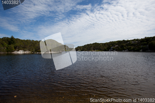 Image of Shoreline