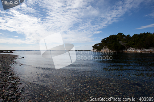 Image of Shoreline