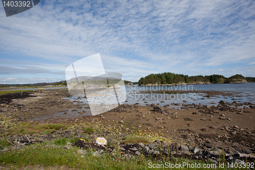 Image of Shoreline