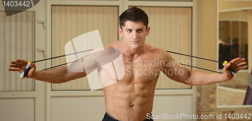 Image of muscular male