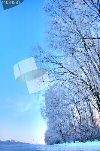 Image of winter landscape