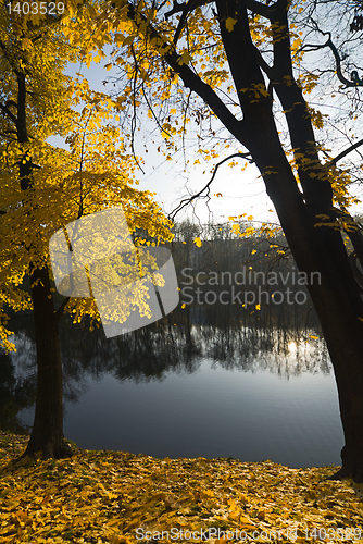 Image of Calm autumn