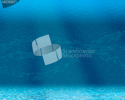 Image of Underwater scene