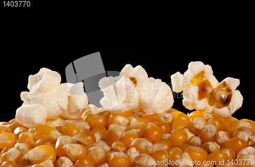 Image of Corn and popcorn