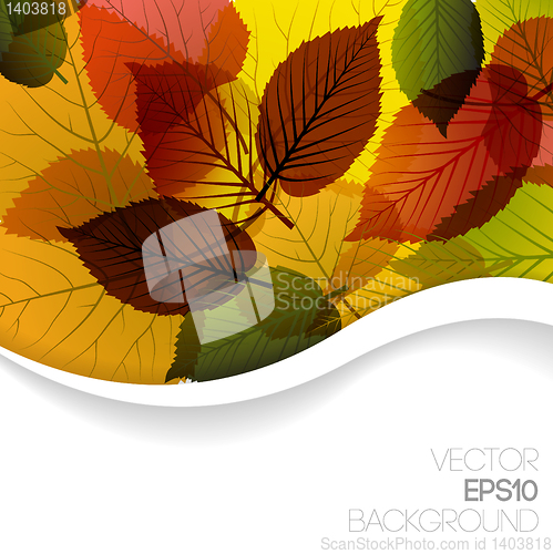 Image of Autumn abstract floral background 