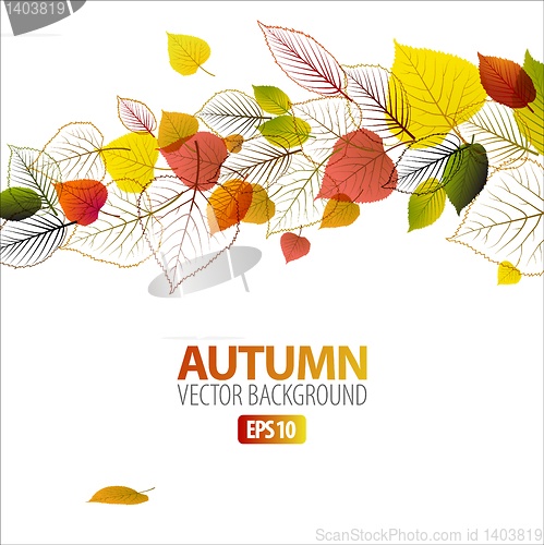 Image of Vector Autumn abstract floral background