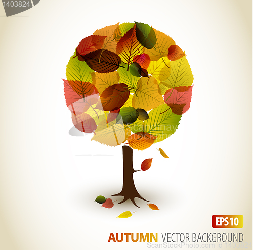 Image of Abstract Vector autumn tree illustration