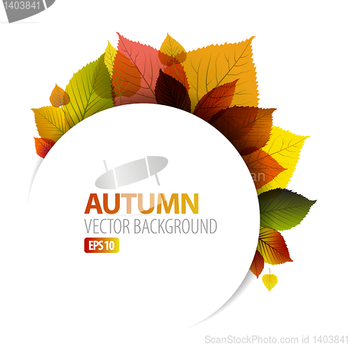 Image of Autumn abstract floral background 