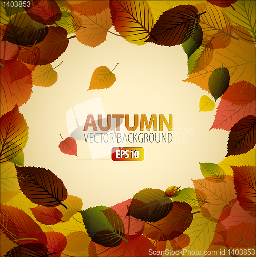 Image of Vector Autumn abstract background with colorful leafs