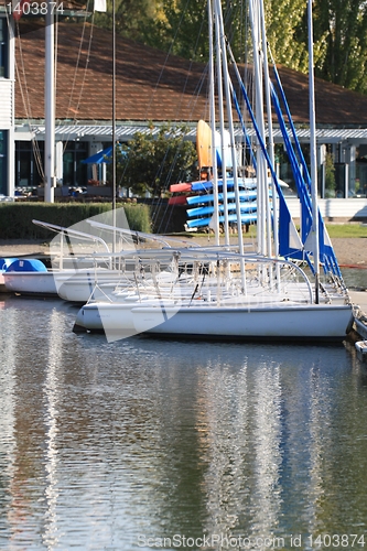 Image of Sailboats on a nice day