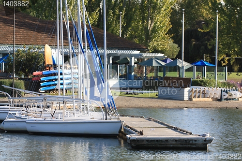 Image of Sailboats moored  