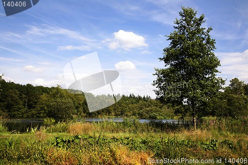 Image of Landscape
