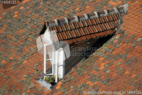 Image of Window with flowers