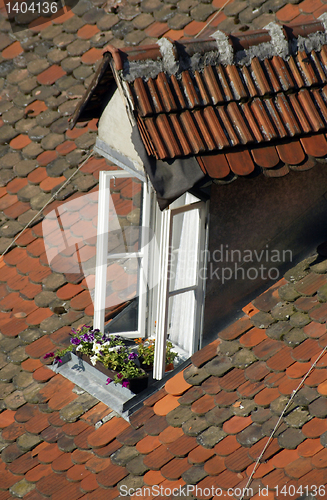 Image of Window with flowers