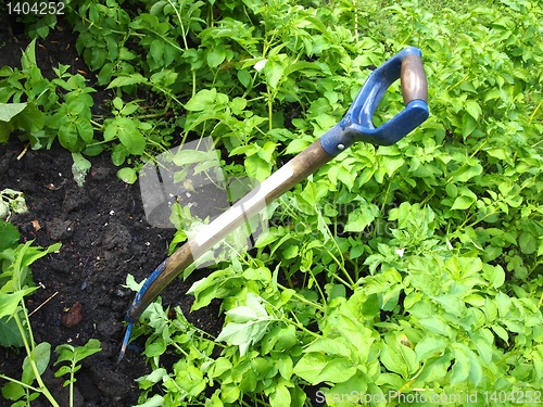 Image of Gardening