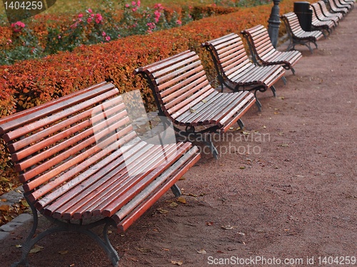 Image of Park Benches