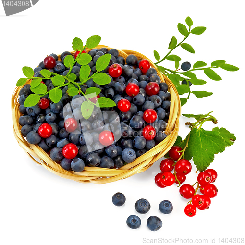 Image of Blueberries with red currants
