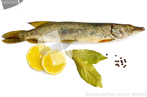 Image of Fresh pike with lemon