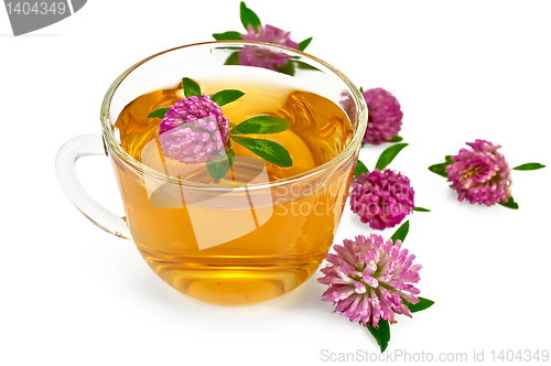 Image of Herbal teas with clover in a glass cup