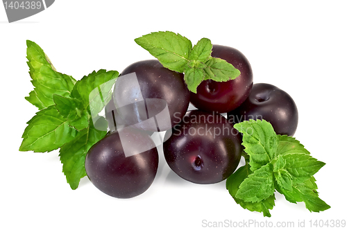 Image of Plum and mint