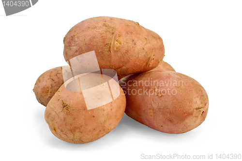 Image of Potato pink