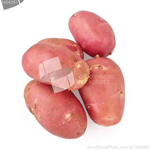 Image of Potatoes red on a white background