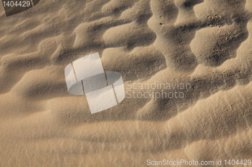 Image of Wind textures on sand in Sahara