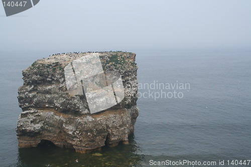 Image of Marsden Rock