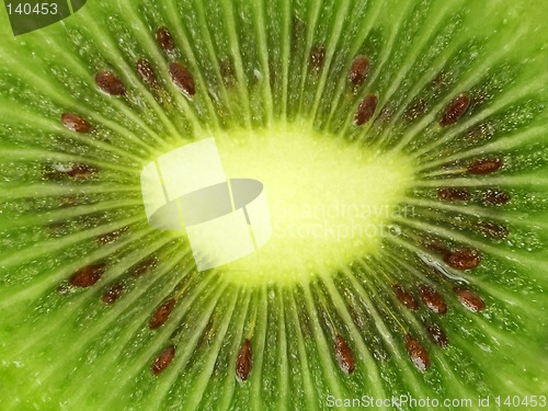 Image of Kiwi