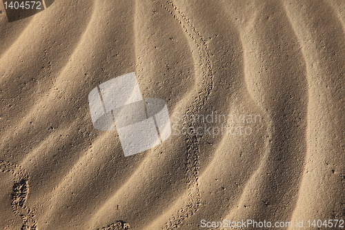 Image of Wind textures on sand in Sahara