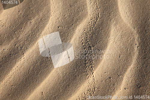 Image of Wind textures on sand in Sahara