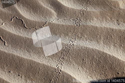 Image of Wind textures on sand in Sahara