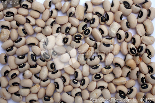 Image of White beans