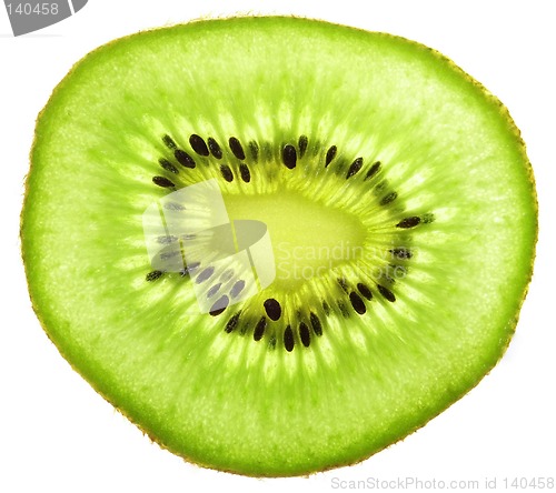 Image of Kiwi