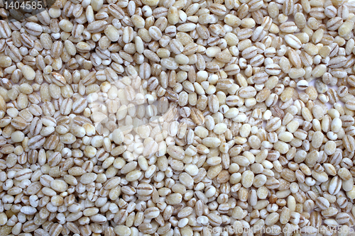 Image of Pearl Barley