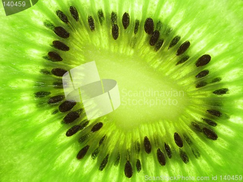 Image of Kiwi