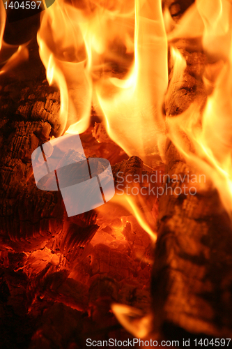 Image of Burning fire close-up
